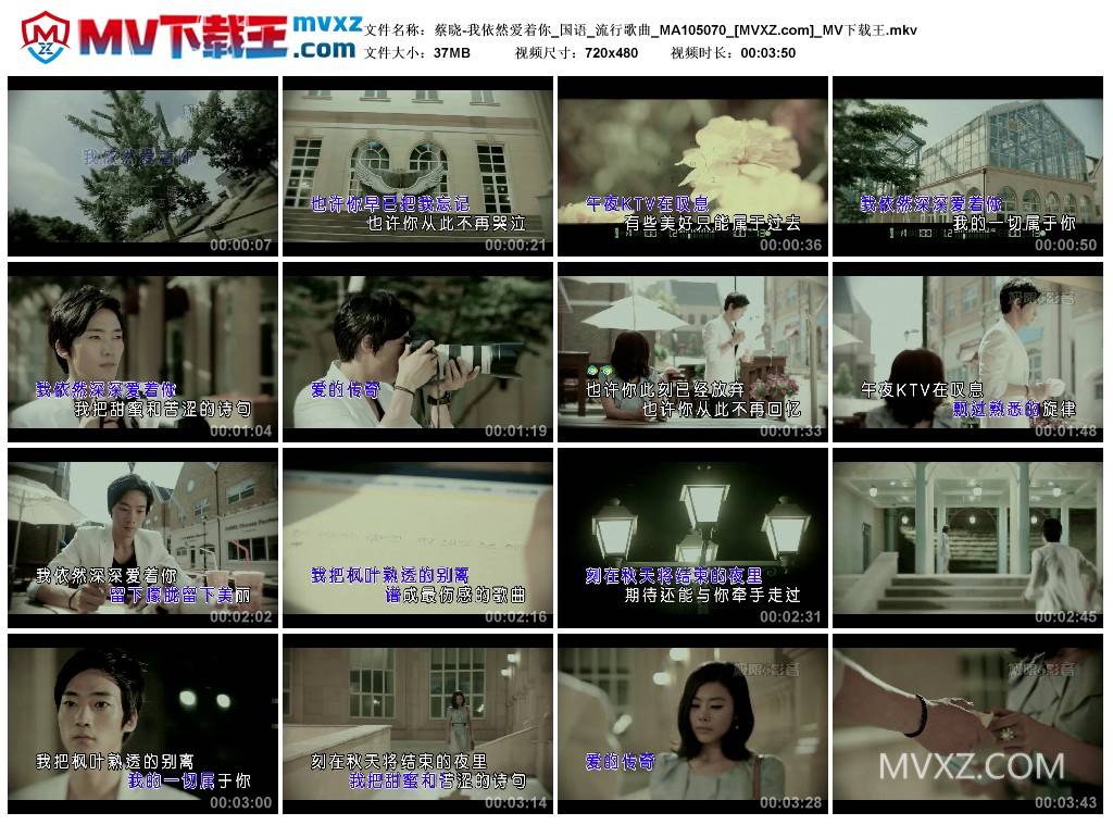 蔡晓-我依然爱着你_国语_流行歌曲_MA105070